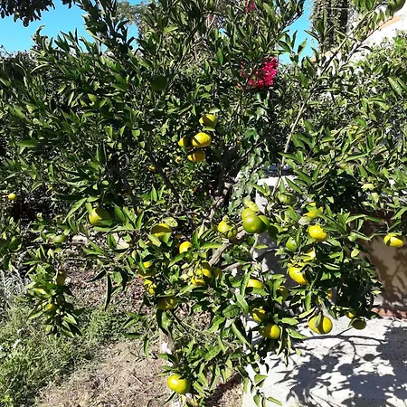 Lasic Rogoznica (Sibenik-Knin)